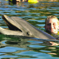   &raquo; Click to zoom ->