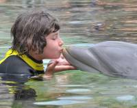   &raquo; Click to zoom ->