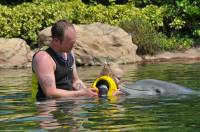   &raquo; Click to zoom ->