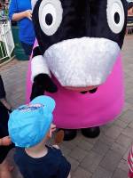   &raquo; Click to zoom ->