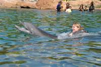   &raquo; Click to zoom ->