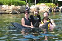   &raquo; Click to zoom ->