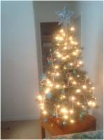 Tailor's Christmas Tree in Florida  &raquo; Click to zoom ->