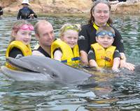 The family on Christmas day swimming with dolphins  &raquo; Click to zoom ->