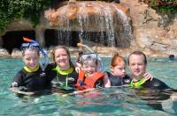   &raquo; Click to zoom ->