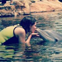   &raquo; Click to zoom ->