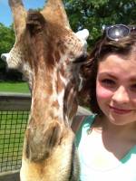   &raquo; Click to zoom ->