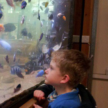 Harvey's Fantastic Fish Wish