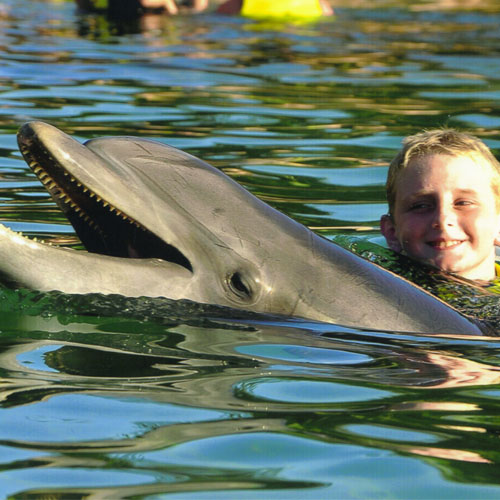 Liam’s Florida Wish Comes True