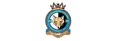2425 Squadron Logo